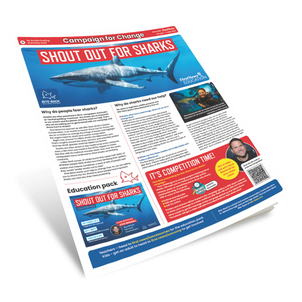 shout-out-for-sharks-school-resources-first-news-education