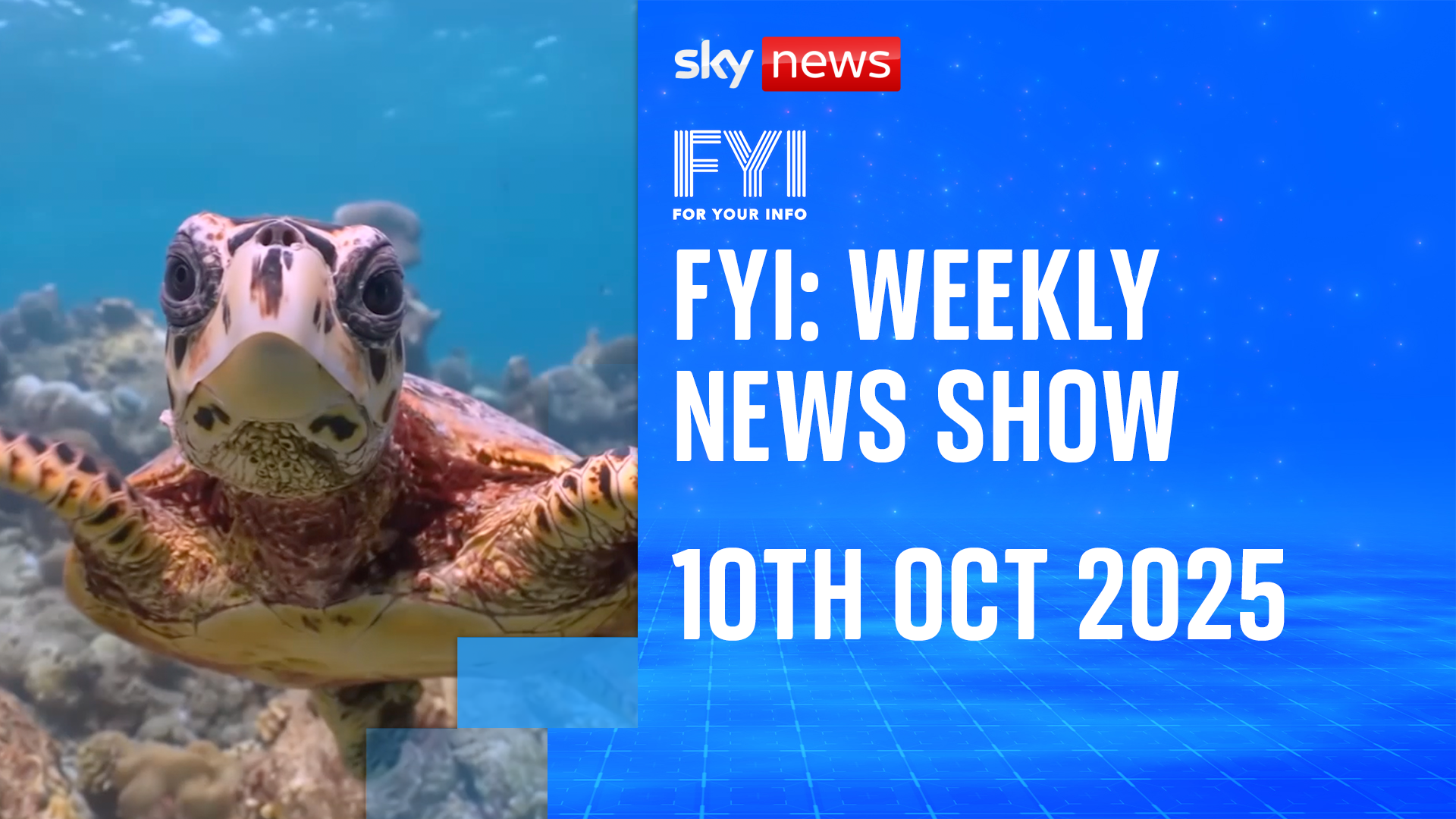 FYI: Weekly News Show