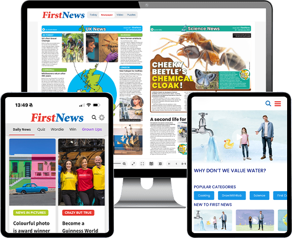First News Digital